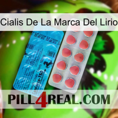 Lily Brand Cialis new14